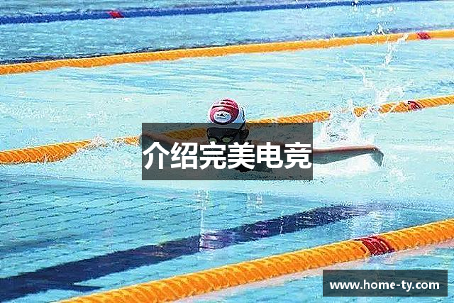 介绍完美电竞